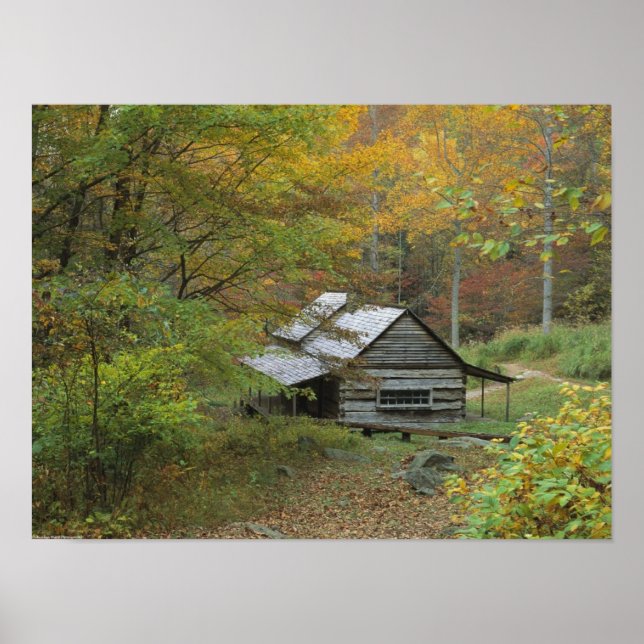 Pôster Cabine de Log Antigo (Frente)