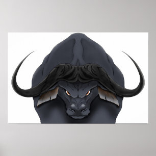 Pôster Cabo Bull da AE