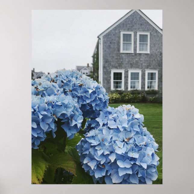 Poster Cabo Cod Hydrangea Home (Frente)