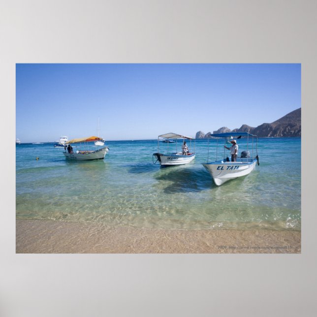 Poster Cabo Water Taxis (Frente)