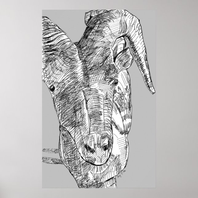 Pôster Cabra de montanha (Frente)