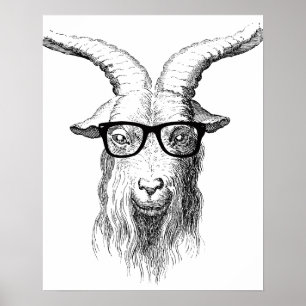 Pôster Cabra do hipster