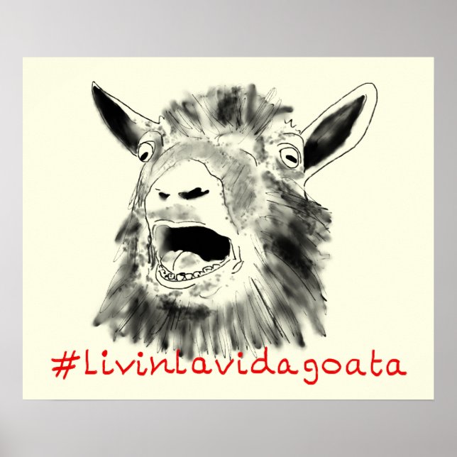 Pôster Cabra engraçada Vivendo a Vida Cabra (Frente)