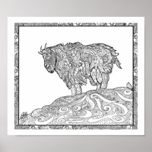 Poster Cabra montanhosa do Alasca