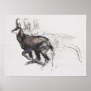 Poster Cabra-montesa Running