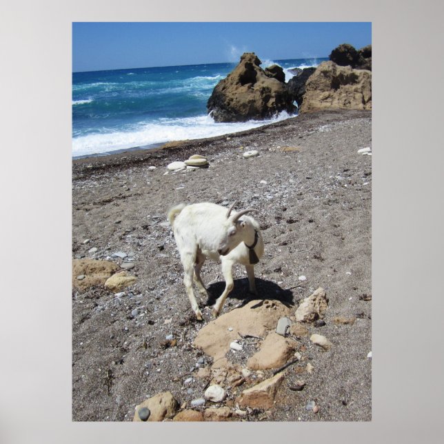 Poster Cabra na Praia (Frente)