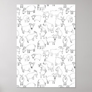 Poster Cabras que jogam - transparentes