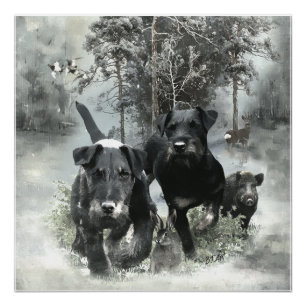 Pôster Caça Alemã Terrier, O Jagdterrier, Arte