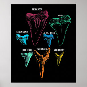 Poster Caça aos dentes de tubarão - Presentes de tubarão 