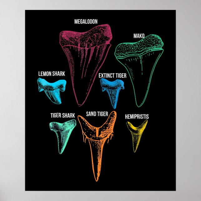 Poster Caça aos dentes de tubarão - Presentes de tubarão  (Frente)