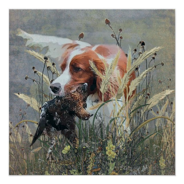 Pôster Caça com Epagneul Breton (Frente)