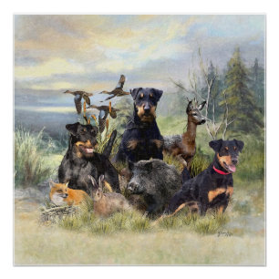 Pôster Caça com Jagdterriers, Arte