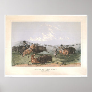Pôster Caça de Buffalo Indiano: "Quartos Fechados" (0743A