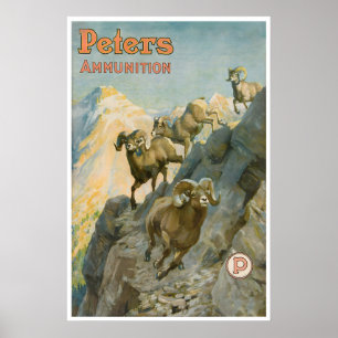Poster Caça de Carneiro de Chifre Grande Arte Cartaz Ocid