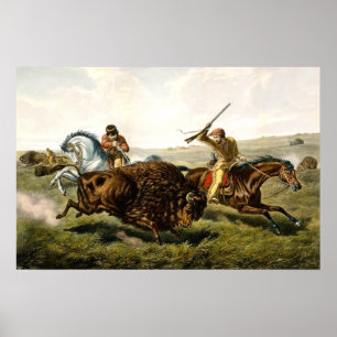 Poster Caça do búfalo nos EUA