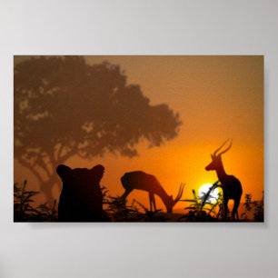 Pôster Caça do leão