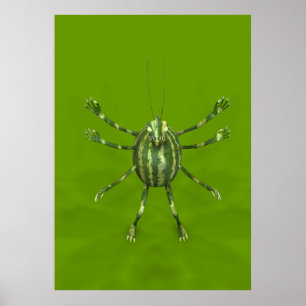 Poster Caçador de Melancia