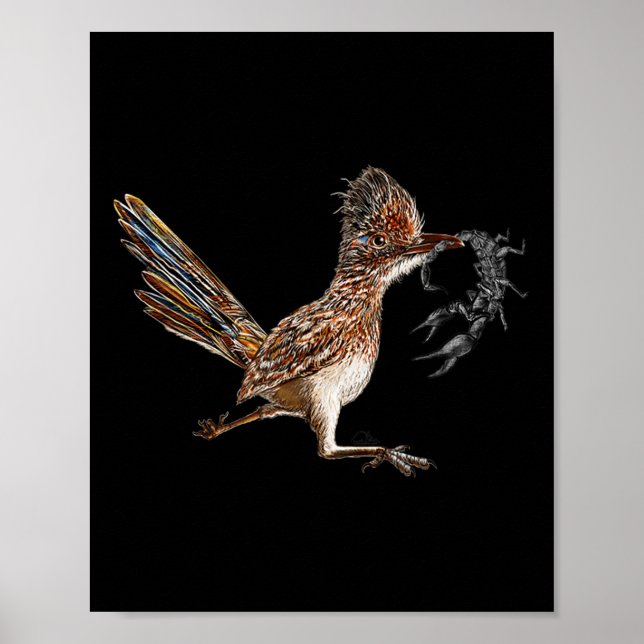 Poster Caçador de Pássaros Engraçado Roadrunner Scorpion  (Frente)