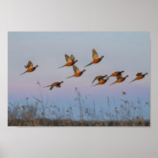 Poster Caçador de recompensas da época de início de caça