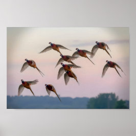 Poster Caçador de recompensas da época de início de caça