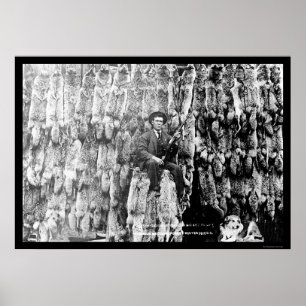 Poster Caçador do chacal entre sobre 60 Pelts 1913