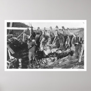Pôster Caçadores Alaska 1928 do caribu