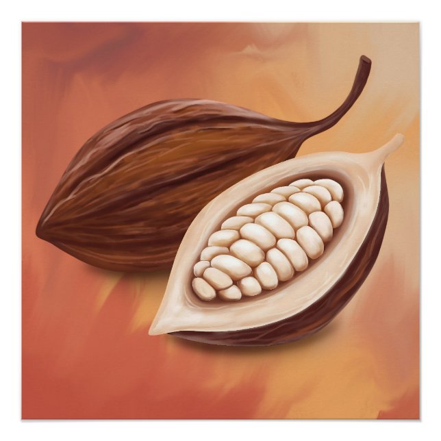 Pôster Cacao Pod (Frente)