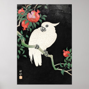 Poster Cacatua e Romã por Ohara Koson