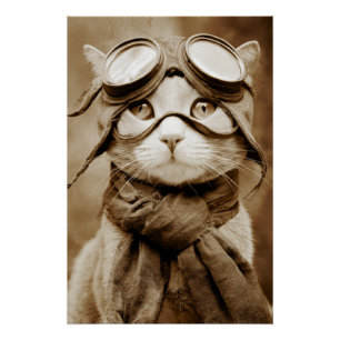 Pôster Cachecol de Gato com Óculos Vintage Estampa Retro