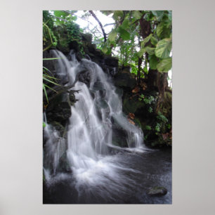 Pôster Cachoeira