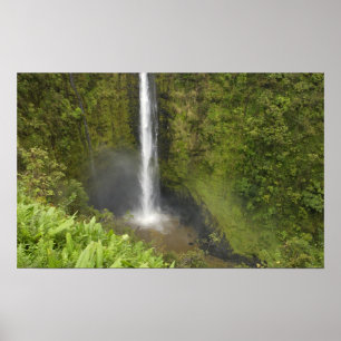 Pôster Cachoeira Akaka, Costa de Hamakua, Ilha do Havaí,