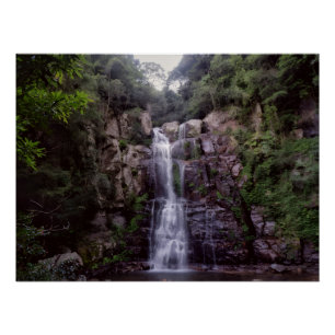 Pôster Cachoeira Australiana