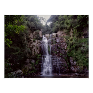 Pôster Cachoeira Australiana