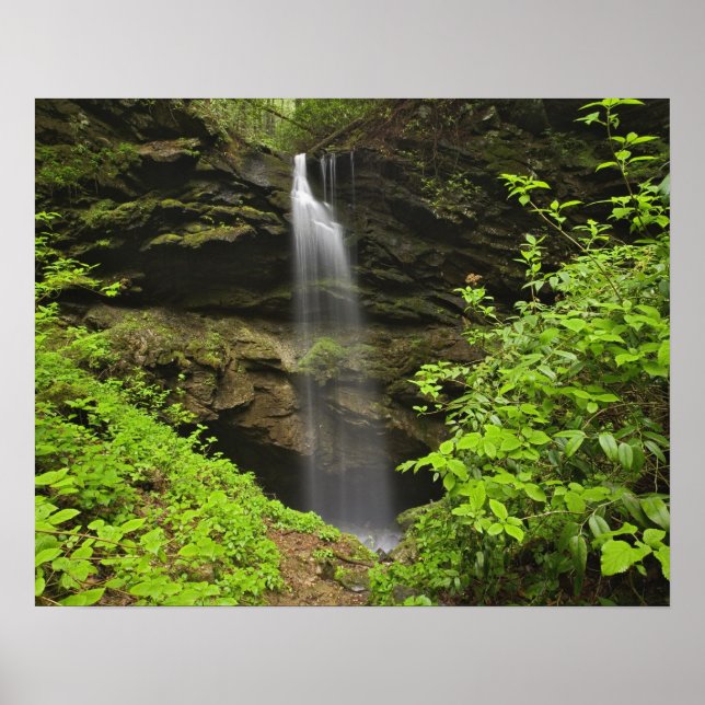Pôster Cachoeira caindo na dolina, Whiteoak Sink, (Frente)