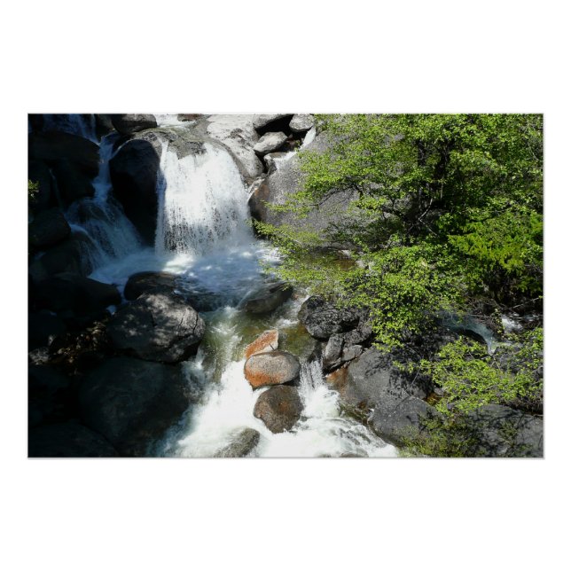 Pôster Cachoeira Cascade em Yosemite National Park (Frente)