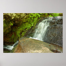 Poster Cachoeira da Floresta Musgosa de Hungarian Falls