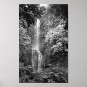 Pôster Cachoeira de Hana