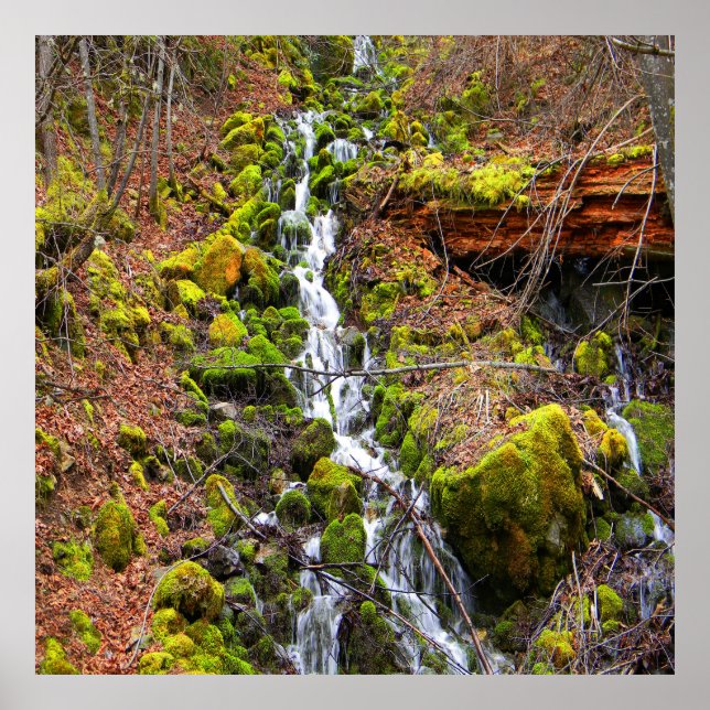 Poster Cachoeira de nascente de montanha..... (Frente)