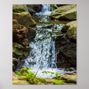 Poster Cachoeira do Bosque Musgoso