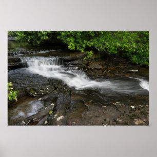 Poster Cachoeira do Bosque Tranquilo