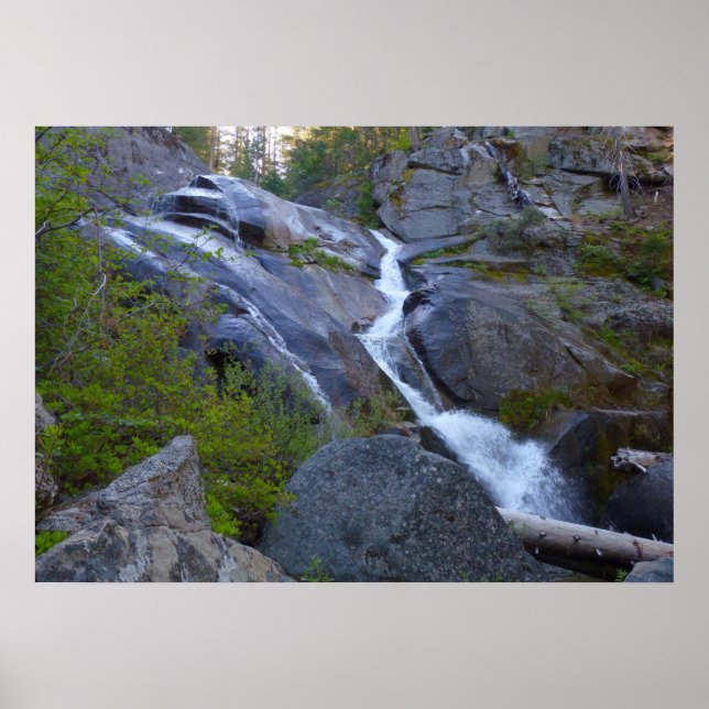 Poster Cachoeira Ella no Parque Nacional de Sequoia (Frente)