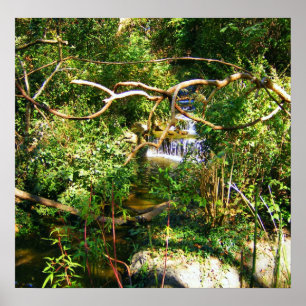 Pôster Cachoeira escondida