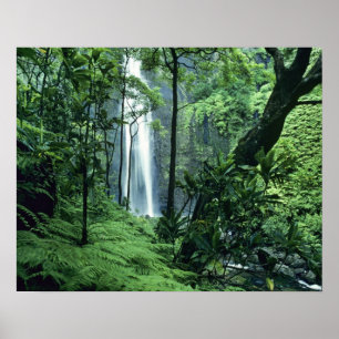 Pôster Cachoeira Hanakapiai ao longo da Costa Na Pali, Ka