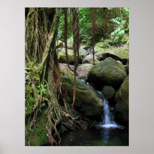 Pôster Cachoeira havaiana