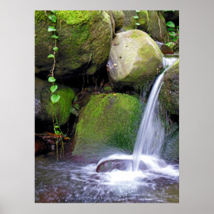 Pôster Cachoeira havaiana