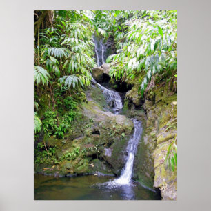 Pôster Cachoeira havaiana