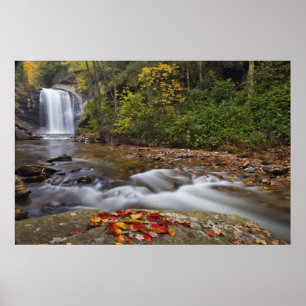 Pôster Cachoeira Looking Glass no Pisgah National
