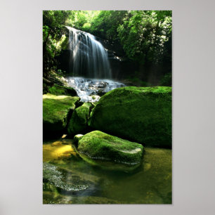 Pôster Cachoeira luxúria da floresta tropical na luz