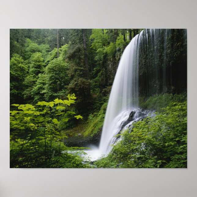 Poster Cachoeira Middle North, Parque Estadual Silver Fal (Frente)