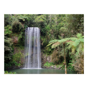 Pôster Cachoeira Millaa Millaa Floresta Tropical de Queen